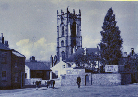 Cows from west green